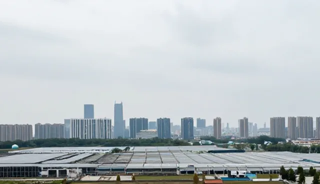 短视频运营：软件开发在应用场景中的实际作用